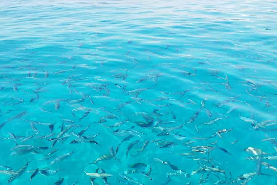Halbprivate Tour ab Kavos: Blaue Lagune und Sivota. Foto: GetYourGuide Halbprivate Tour ab Kavos: Blaue Lagune und Sivota. Foto: GetYourGuide
