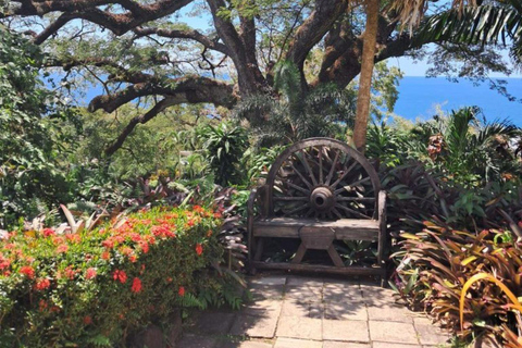 St. Kitts No Hustle No Hassle Private Tour with Don