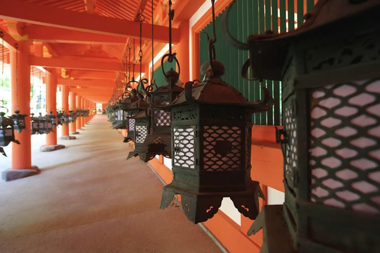Nara: Must-see attractions tour with English-Speaking Guide
