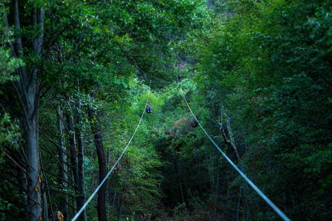 Vale de Pauma: Excursão de tirolesa