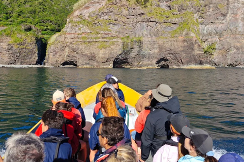 Passeios Turísticos: Ausflug nach Corvo mit dem Boot