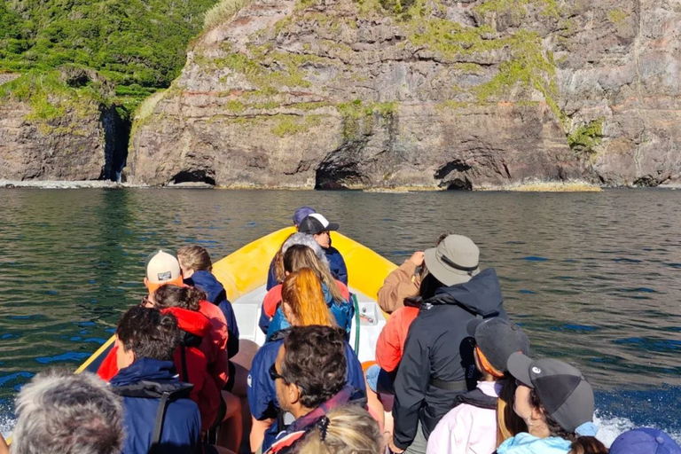 Passeios Turísticos: Ausflug nach Corvo mit dem Boot