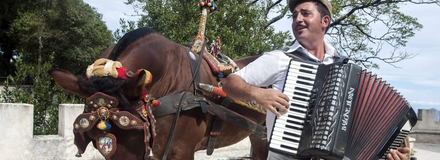 1 jour Erice, Scopello, Castellammare Del Golfo et les salines