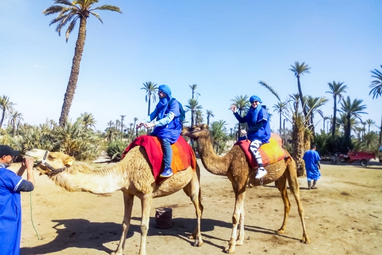 Marrakech : balade en chameau à la palmeraieMarrakech : balade en chameau de 3 h à la palmeraie