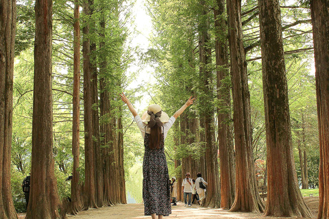 Gangwon-do: 10 HR Tour de carro fretado