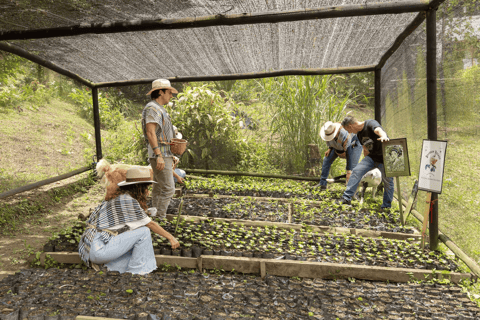 Medellin: La Casa Grande Coffee Hacienda - Coffee Experience