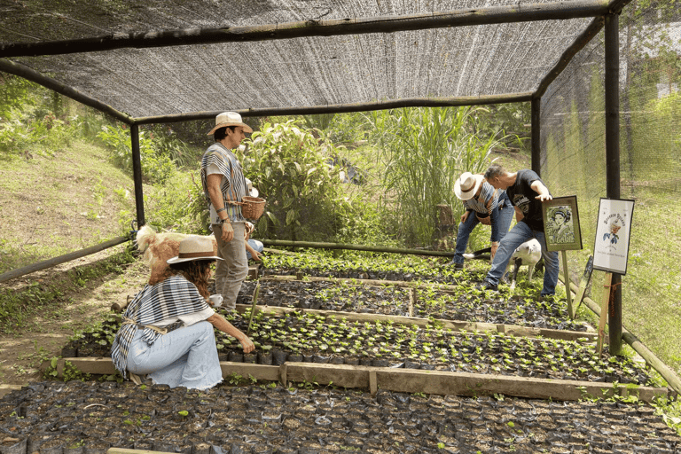 Medellin: La Casa Grande Coffee Hacienda - Coffee Experience