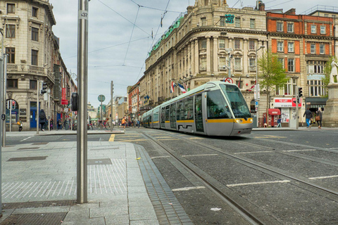 Best of Dublin: Private Walking Tour with a Local Private City Walking Tour - 6Hr