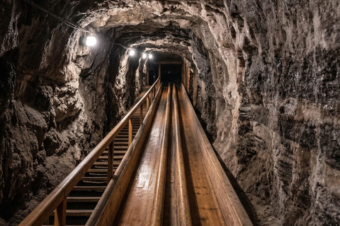 Salt Mine & Salzburg: Private Heritage Day-Tour from Munich
