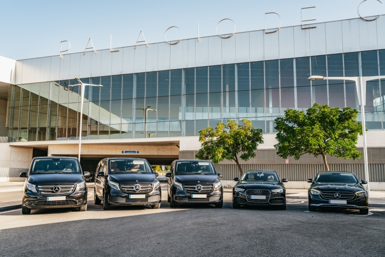 Seville: Private 1-Way Airport or Train Station Transfer Private Airport-to-Hotel Transfer