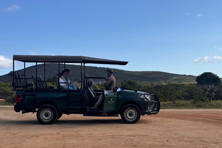 2-Day Safari with Big 5 Game Drives, at amazing 4-Star Lodge Wildlife Lions Safari 2-day Garden Route