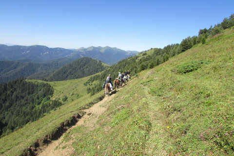 1 giorno di avventura a cavallo nei monti Borjomi1 giorno di avventura a cavallo nel Parco Nazionale di Borjomi