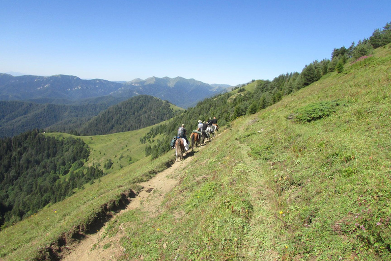 1 giorno di avventura a cavallo nei monti Borjomi1 giorno di avventura a cavallo nel Parco Nazionale di Borjomi