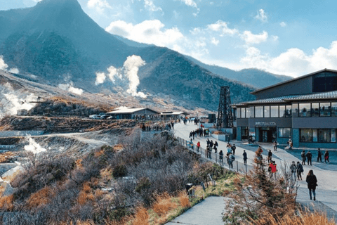 Depuis Tokyo : Visite privée du Mont Fuji avec chauffeur anglais