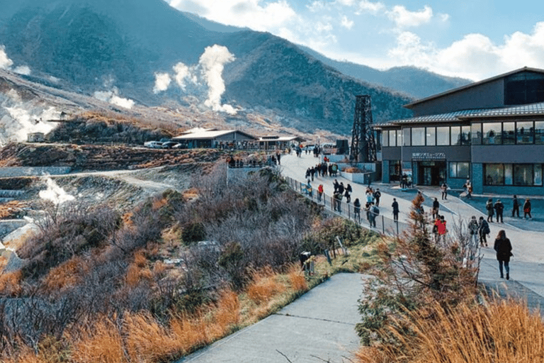 Depuis Tokyo : Visite privée du Mont Fuji avec chauffeur anglais