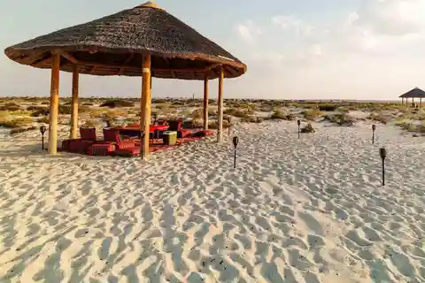 Doha: Al Safliya Island Kreuzfahrt & Mittagessen am Strand