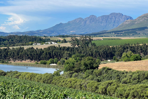 Cape Town: Stellenbosch Guided Walk with Wine Tasting