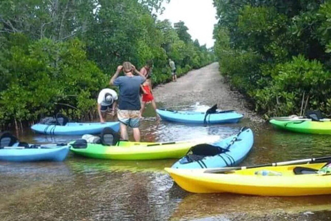 jozani forest and kayak tour at Uzi island