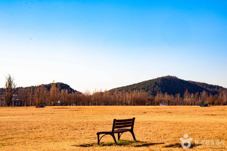 Depuis Séoul : Expérience d&#039;une journée complète au festival Ogok Naru de YeojuAu départ de Séoul : expérience d&#039;une journée complète au festival Yeoju Ogok Naru
