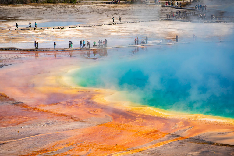 Jackson: Private Yellowstone Safari With Field Dining Medium Sized Groups (5-10 Guests)