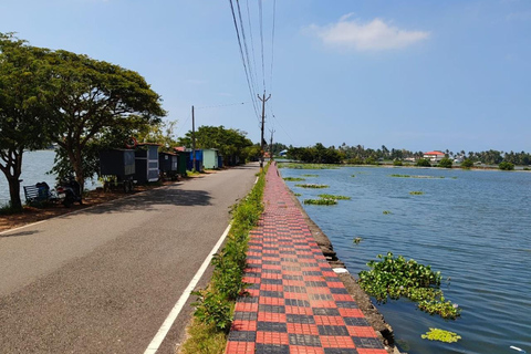 Kochi: Kadamakkudy, Cathedral & Water Metro( Fiddler Tours)