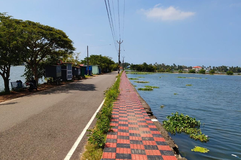 Kochi: Kadamakkudy, Cathedral & Water Metro( Fiddler Tours)