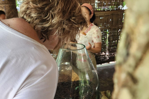 Ubud: Hidden Waterfalls, Rice terrace & Cliffside Dining