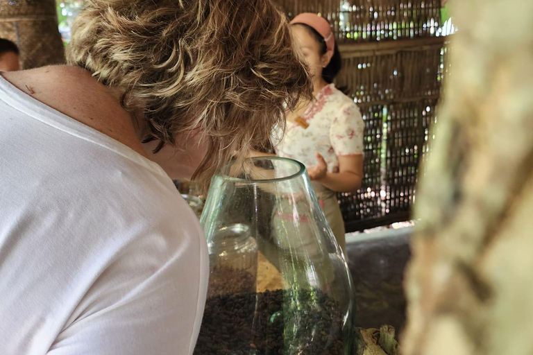 Ubud: Hidden Waterfalls, Rice terrace & Cliffside Dining