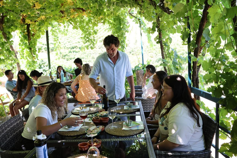 From Porto: 2 Boutique Wineries w/ Winery Lunch & 1-h cruise Tour in English