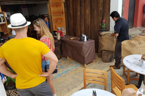 De Huatulco: 3 níveis, café, cultura e natureza