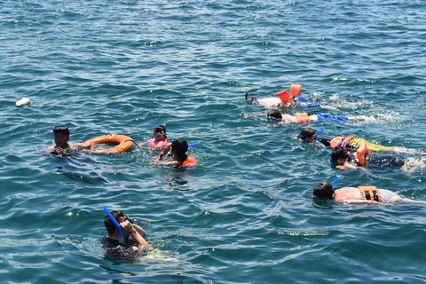 Cancun: Isla Mujeres Only Adults Catamaran, drinks & snorkel Tour from Playa del Carmen