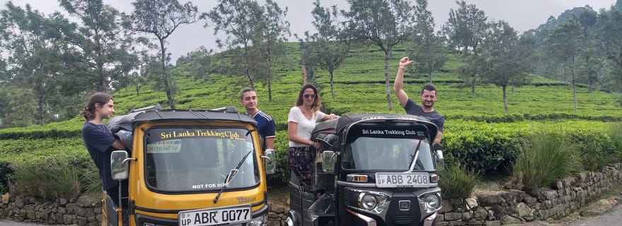 Haputale:Glorieuse promenade en tuk tuk jusqu'à l'usine de thé et de sièges Lipton's