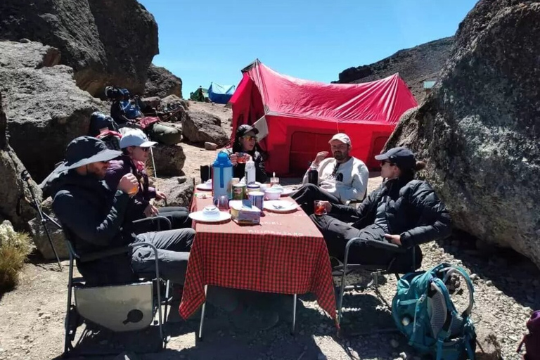 11 Day Kilimanjaro Northern Circuit