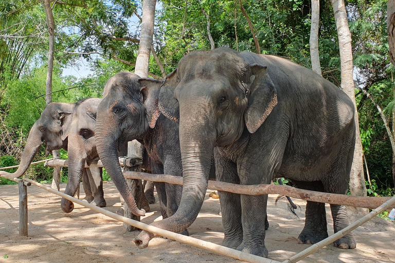 Kulen Elefantskog och Tonle Sap-sjön med Privat tur