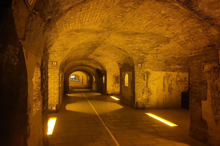 Reims: Moët & Chandon and Family-Run Winery Day Tour & Lunch Epernay: Moët & Chandon, Family-Run Winery Day Tour & Lunch