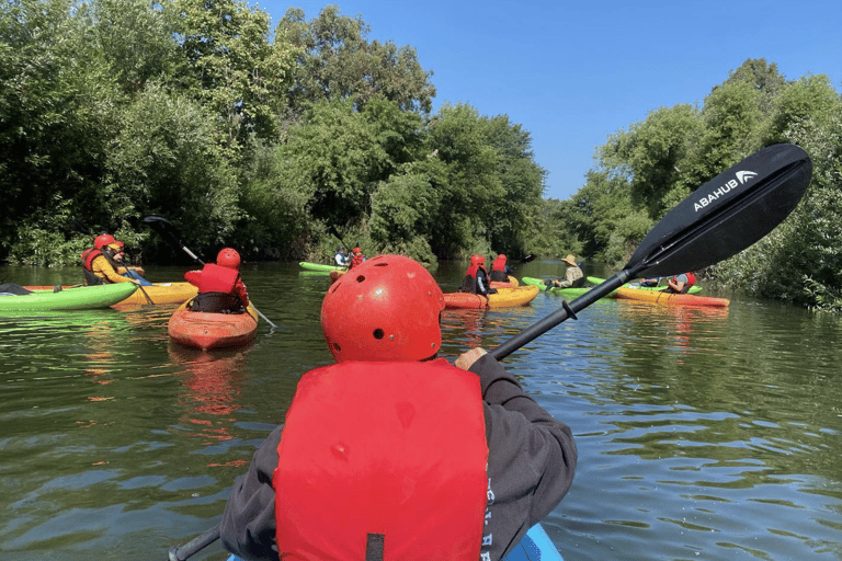 Los Angeles: Guided Kayak Tour on the LA River