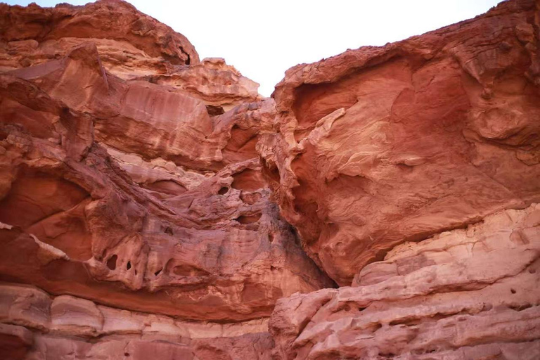 Wadi Rum Full-Day Jeep Tour: Lunch, Sunset & Hidden Gems