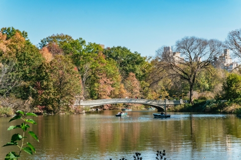 Nowy Jork: Central Park Guicab Tour2-godzinna wycieczka