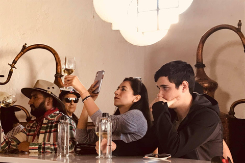 Rondleiding &quot;Parras de la Fuente&quot;, met gids, transfer en tickets