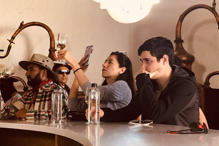 Rondleiding &quot;Parras de la Fuente&quot;, met gids, transfer en tickets