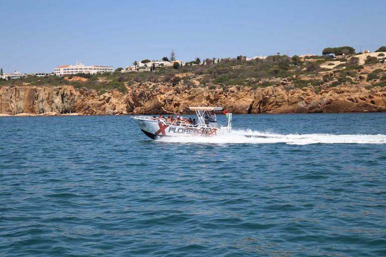 Benagil: Excursión de 2,5 horas por la costa y con delfines