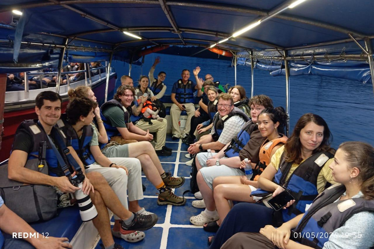 Glowing Kuala Selangor Firefly Tour