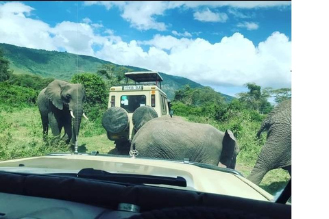 2-dniowy park Tarangire i krater Ngorongoro z Zanzibaru