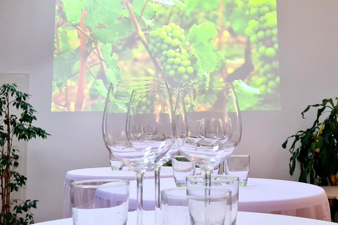 Saarbrücken: Organic wine tasting the precious way