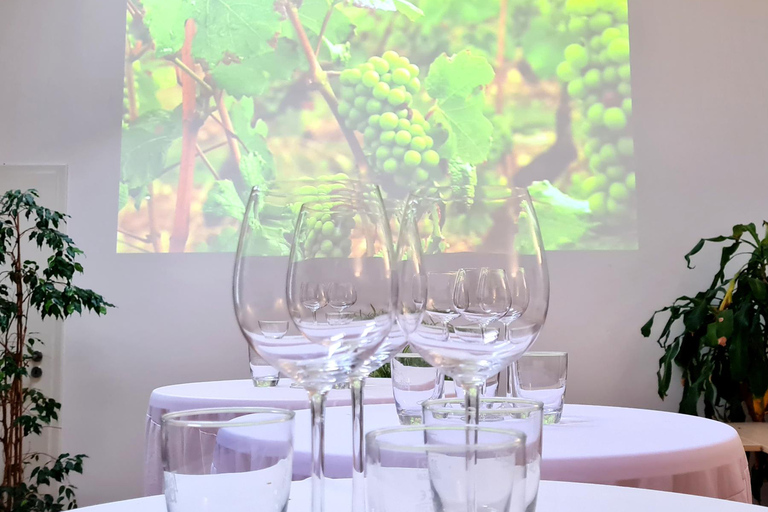 Saarbrücken: Organic wine tasting the precious way