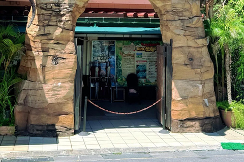 Kumejima : aquarium Churaumi d&#039;Okinawa, Manzamo, parc de l&#039;ananasBanque SMBC Shinjuku West Exit 9h30 (week-end et jours fériés 8h30)