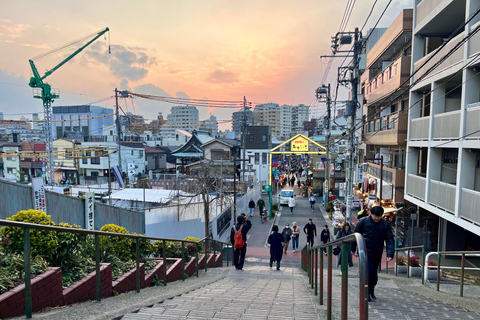 Tokyo: Calm and Cultural Stroll Through Historic Areas