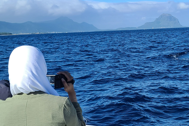 Dolfijnen en walvissen, privétour snorkelenDolfijnen en walvissen, privérondleiding en snorkelen