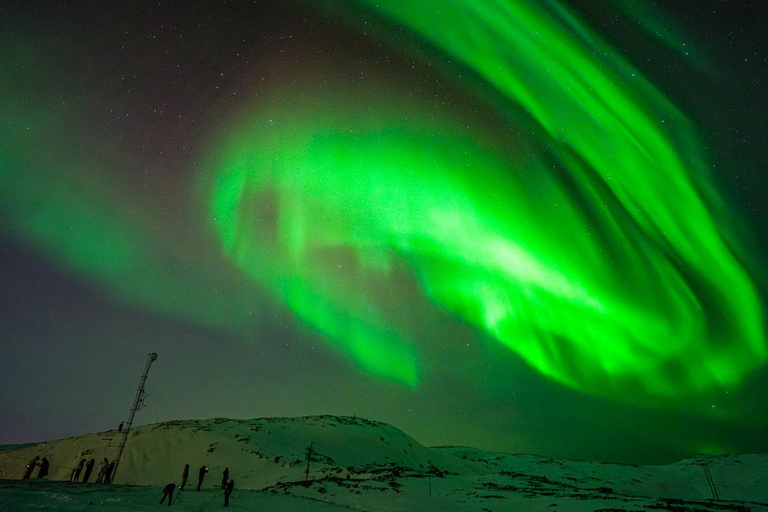 Tromsø: Northern Lights Bus Tour