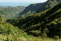Hiking Ribeira Principal - Housity